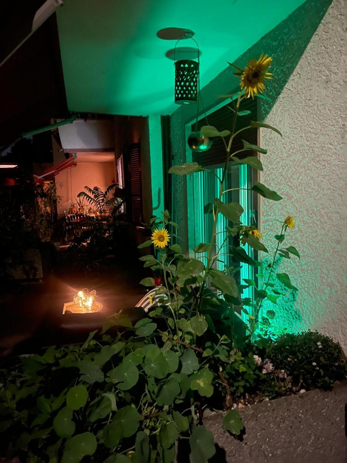 Bellezza In Lorraine Daire Bern Dış mekan fotoğraf